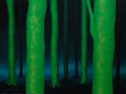2012 - 60x80 - Bosco verde - Disp.jpg